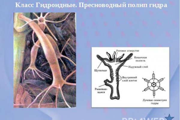 Кракен современный даркнет